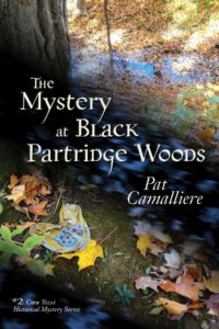 Mystery at Black Partridge Woods is the second book in the series.